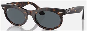 RAY-BAN RB2242 WAYFARER OVAL